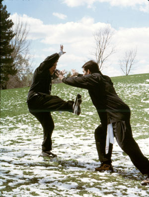 Autumn Flavours POETRY BOOK by The Hippy Coyote