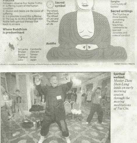 Hairy Zen Master