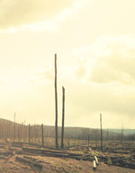 Blank front cover of The AntiChrist. Taken offline for many years...