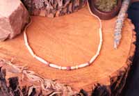 Turquoise Necklaces by The Coyote